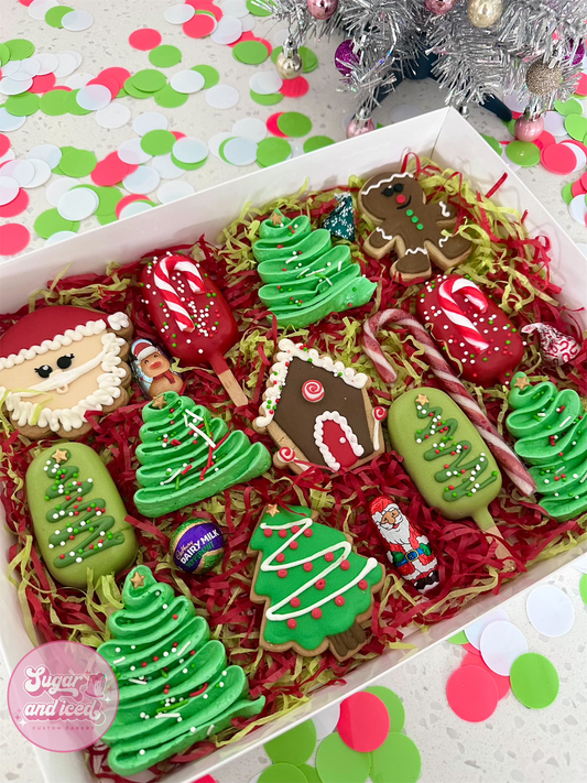 Large Christmas Treat Box